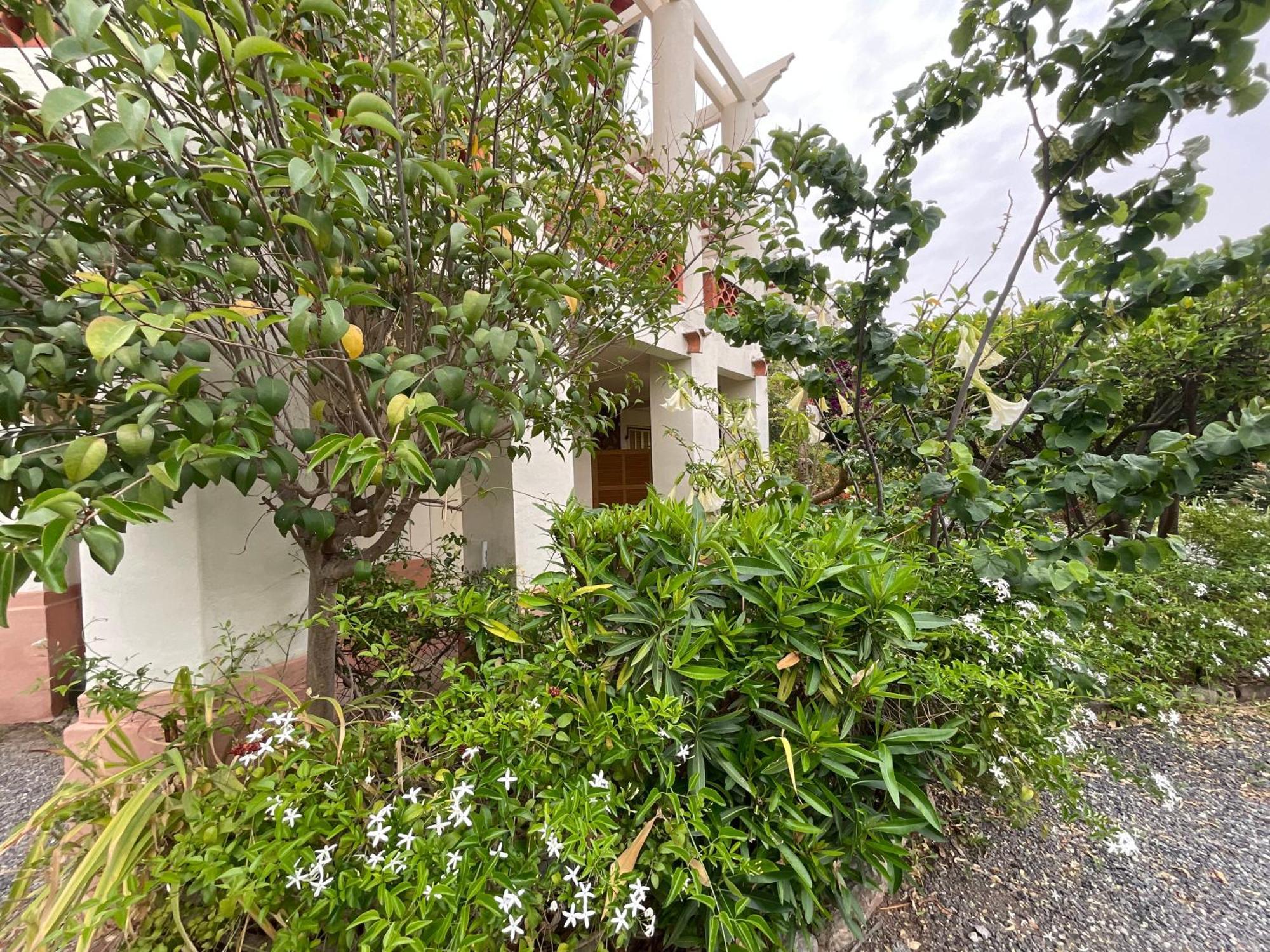 Villa La Provence Hyeres Luaran gambar